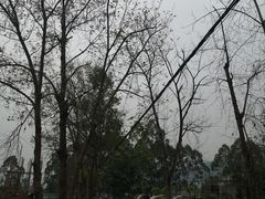 -美心红酒小镇游乐园
