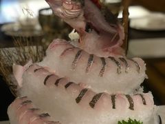 -海玥荟海鲜姿造自助餐厅(欧罗巴广场店)