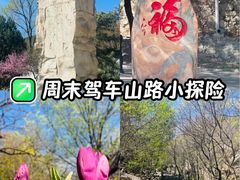 -北京鹫峰国家森林公园