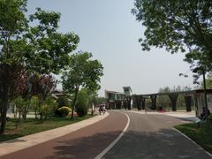 -武清南湖绿博园
