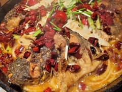-老板恋上鱼(高新万达店)