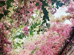 -深圳国际园林花卉博览园