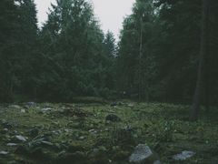 -硗碛藏寨·神木垒景区