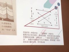 -德瑞姆心理咨询旗舰店