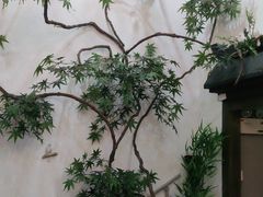 -耳艺采耳·足疗·按摩SPA(市桥店)