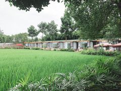 -洪湖家庭农场·团建·露营·会议