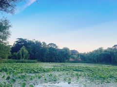 -承德避暑山庄景区