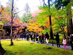 -有栖山 清光院 清水寺
