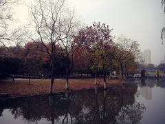 -白塘生态植物园