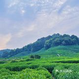 云径天竹🍃藏在山里的治愈咖啡馆🍵