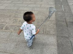 -南翔镇银翔湖公园