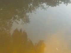 -江南天池高山汤泉城