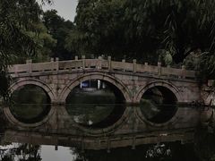 -上海滨江森林公园