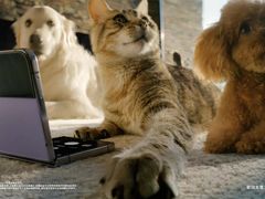 -三星授权体验店(西新街店)