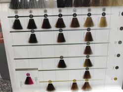-Tloml salon