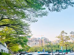 -顺峰山公园