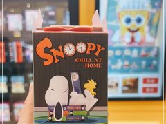 -泡泡玛特POPMART(合生汇店)