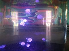 -横店影视城梦幻谷园区