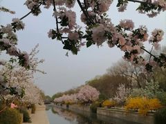 -元大都城垣遗址公园