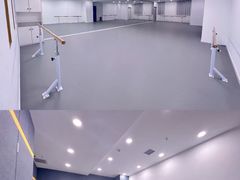 -西安小天鹅艺术团(金花路校区)