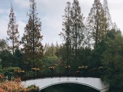 -东平国家森林公园