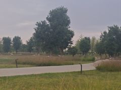 -汉长安城未央宫国家考古遗址公园