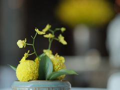 -悦轩中餐厅·高空江景·杭州柏悦酒店