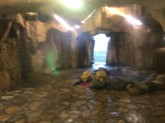 -咸宁万豪温泉谷度假区