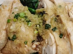 -九爺雞(文德路店)