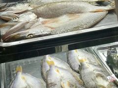 -老街冷水鱼烧烤(河堤夜市店)