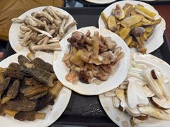 -菌之家·专业纯野生菌火锅·特色炒菌