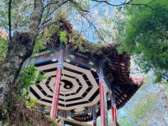 -腾冲云峰山