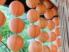 -伴山茶苑·围炉煮茶
