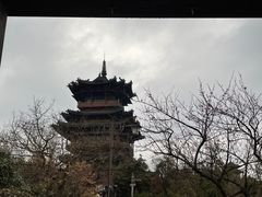 -杭州半山国家森林公园