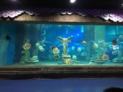 -梦幻海洋王国(吾悦广场张家港店)
