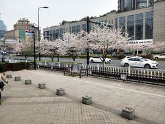 地铁口-SFC上影影城(临平店)