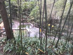 -花水湾第一村温泉大酒店