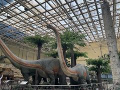 -国家自然博物馆