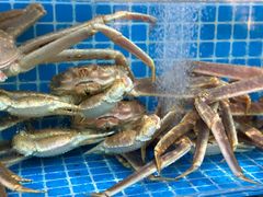 -本达人海鲜烧烤·朝鲜族风味(发展店)