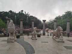 -亚龙湾热带天堂森林公园
