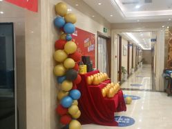 -碧莲盛·不剃发植发