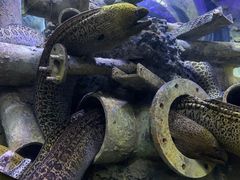 -成都浩海立方海洋公园