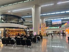 -英迪拉·甘地国际机场