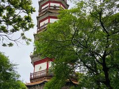 -分塔山省级森林公园