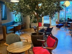 -Wagas沃歌斯(正大乐城店)