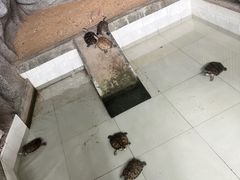 -石家庄市动物园