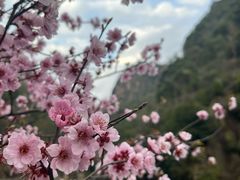 -天台山琼台仙谷景区