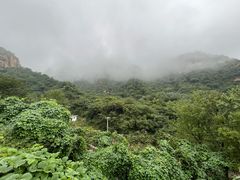 -大岭沟猕猴桃谷风景区