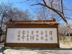 -桃花堤公园