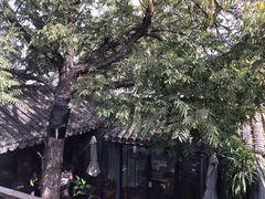 -SUSU·苏苏(四合院创始店)